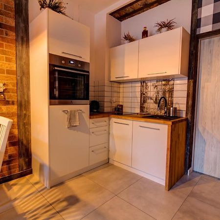 Apartamenty U Rybki Krynica - Zdroj Εξωτερικό φωτογραφία